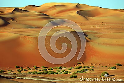 Amazing sand dune formations in Liwa oasis, United Arab Emirates Stock Photo