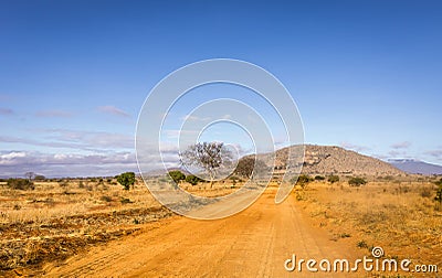 Safari road in Kenya Stock Photo