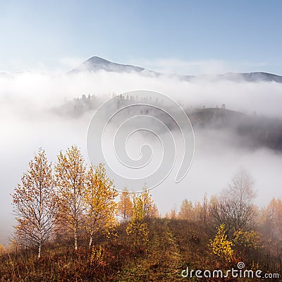 Amazing scene on autumn mountains Stock Photo