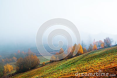 Amazing scene on autumn mountains Stock Photo