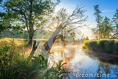 Amazing scenery sunny morning on river Stock Photo