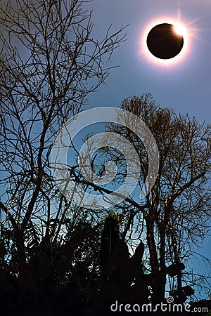 Amazing scientific natural phenomenon. Total solar eclipse glowing on sky. Cartoon Illustration
