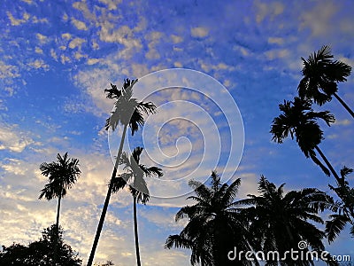 Amazing skies view at Botanical Garden Putrajaya Stock Photo