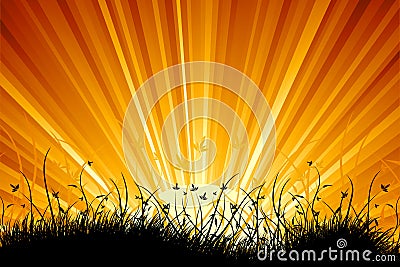 Amazing sunrise landscape Vector Illustration