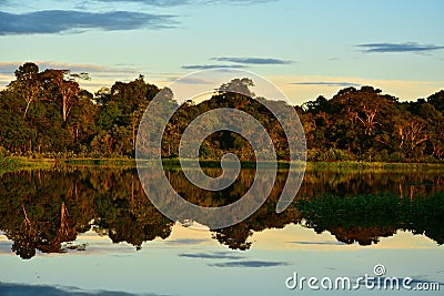 An amazing sunset in the Yasuni Park, Ecuador Stock Photo