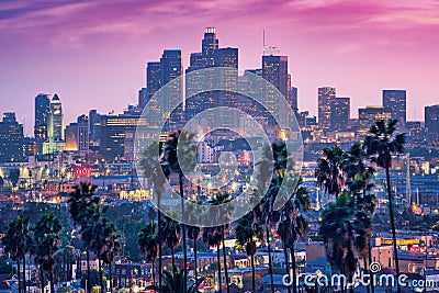 Amazing sunset view with palm tree and downtown Los Angeles. California, USA Stock Photo