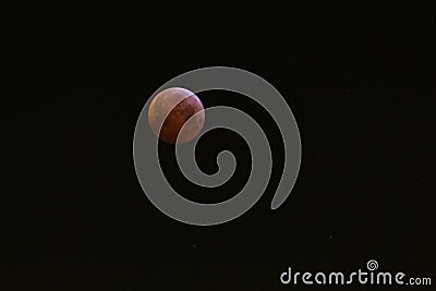 Amazing Super Blood Wolf Moon Stock Photo