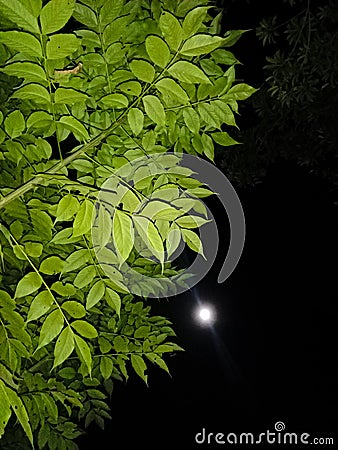 Amazing super moon in the night sky. Stock Photo