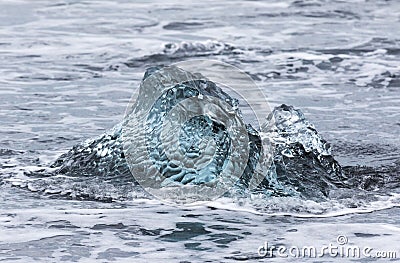 Amazing transparent blue iceberg pieces on Diamond beach with black sand near Jokulsarlon lagoon, Iceland. Ice calving. Black and Stock Photo