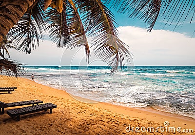 Amazing tropical beach Stock Photo