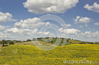 Amazing Tuscany landscape Stock Photo