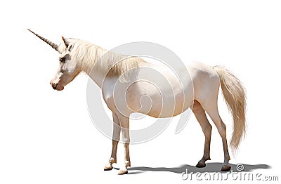 Amazing unicorn with beautiful mane on white background Stock Photo