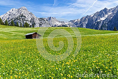 Amazing view of austrian alps and meadow near Walderalm, Austria, Gnadenwald, Tyrol Region Stock Photo