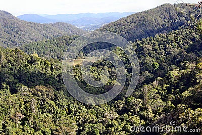 Amazing view in Kondalilla National Park Stock Photo