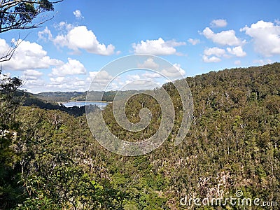 Amazing view in Kondalilla National Park Stock Photo