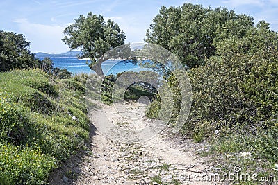 Sithonia coastline near Kastri Beach, Chalkidiki, Greece Stock Photo