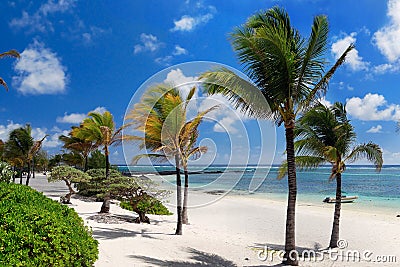 Amazing White Beach, Tropical Vacation, Mauritius Island Stock Photo