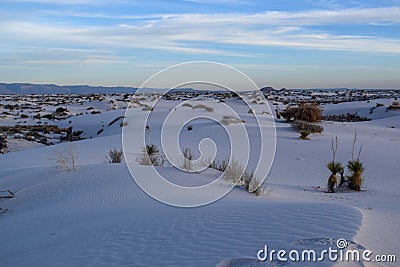 Amazing White Sands Desert in New Mexico, USA Stock Photo