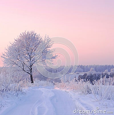 Amazing white winter road.Very cold morning in Lithuania Stock Photo