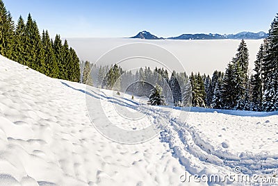 Amazing winter view to snowy Mountains above inversion fog clouds with forest trees. Early morning sunrise view from Stock Photo
