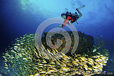 Amazing young scuba diver with fish underwater. Stock Photo