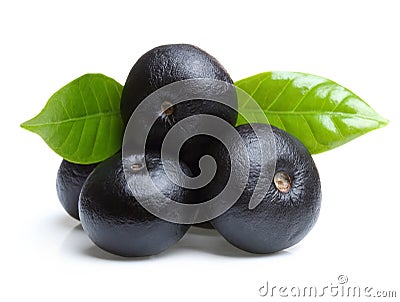 Amazon acai fruit with leaf Stock Photo