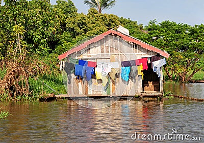 Amazon Jungle Typical Home Stock Photo