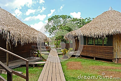 Amazon rainforest: Footpath along the Amazon River near Manaus, Brazil South America Stock Photo