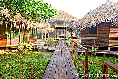 Amazon rainforest: Footpath along the Amazon River near Manaus, Brazil South America Stock Photo