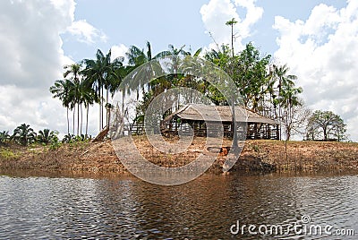 Amazon rainforest: Landscape along the shore of Amazon River near Manaus, Brazil South America Stock Photo