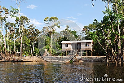 Amazon rainforest: Landscape along the shore of Amazon River near Manaus, Brazil South America Stock Photo