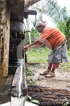 Image of an indigenous woman chopping sugarcane to get cane juice. Beni river area in the Madidi National Park. Bolivia Editorial Stock Photo