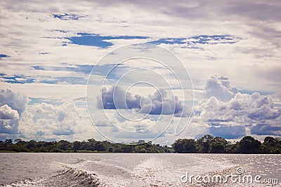 Amazon river jungle with sunshine and blue sky Stock Photo