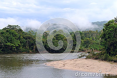 Amazon, View of the tropical rainforest, Ecuador Stock Photo