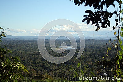 Amazonia landscape Stock Photo