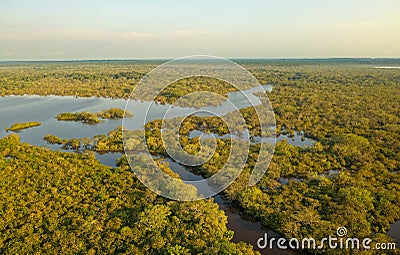 Amazonian national reserve Cuyabeno in Ecuador, wetland with lakes and ponds, river with piranas, dolphins, caymans, snakes and Stock Photo