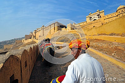 Amber fort elephant ride Editorial Stock Photo