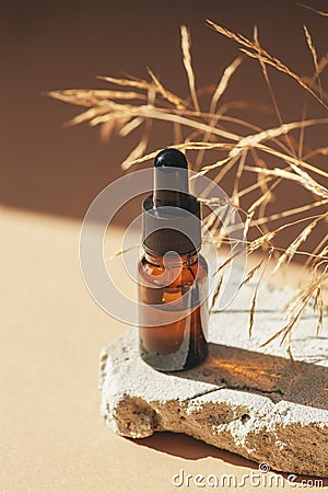 Amber glass dropper with black lid and dry plant. Bottle on grey concrete podium Stock Photo