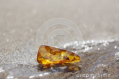 Amber stone beach insect inclusion Stock Photo