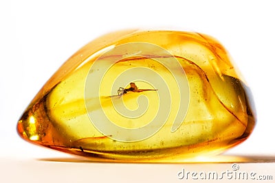 Amber stone with frozen mosquito isolated on white background Stock Photo