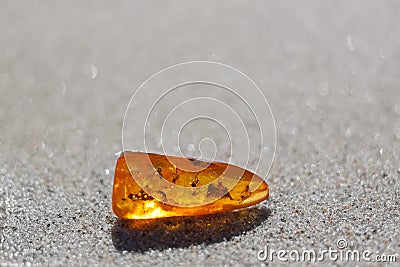 Amber stone insect inclusion sand Stock Photo