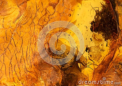 Amber stone texture Stock Photo