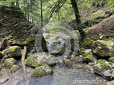 Ambience of a creek Curak in the significant landscape Green whirpool - Croatia / Ambijent potoka Curak u znaÄajnom krajoliku Stock Photo