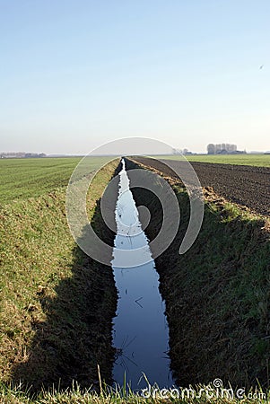 Ameliorative Canal Ditch In Green Agricultural Field Meadow. Stock Photo