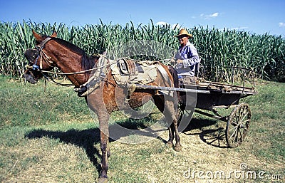 AMERICA CUBA HOLGUIN Editorial Stock Photo