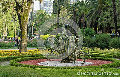 American agave Agave americana striped â€” species of Agave genus in landscape Sochi city park. Selective focuse. Beautiful street Editorial Stock Photo