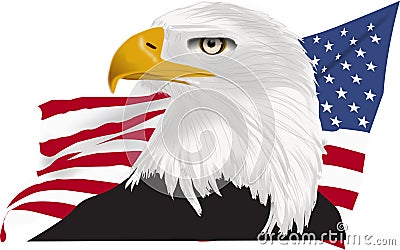 American bald eagle drawing with yellow beak and American flag back ground as a vector profile view Vector Illustration
