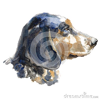 The American Blue Gascon Hounds Stock Photo
