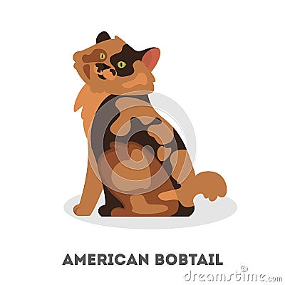 American bobtail breed. A beautiful cute cat Vector Illustration