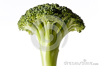 American broccoli Stock Photo